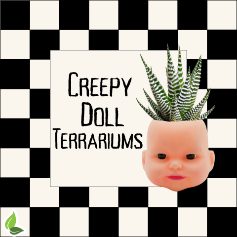 Creepy Doll Terrariums