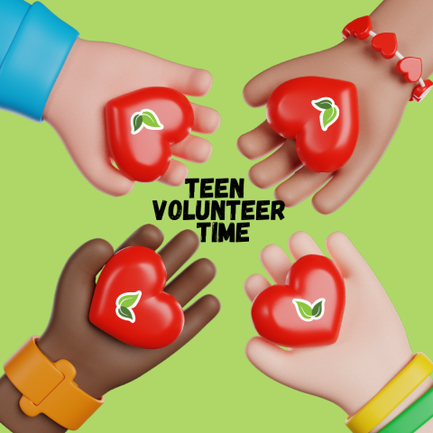 Teen Volunteer Time