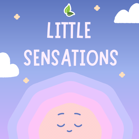 Little Sensations*