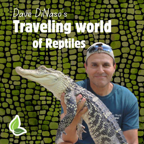 Dave DiNaso’s Traveling World of Reptiles*