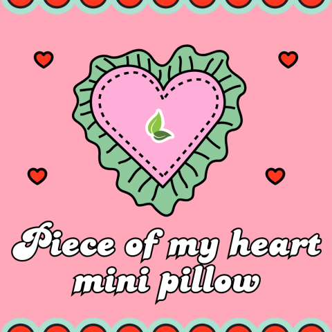 Piece of My Heart Mini Pillow