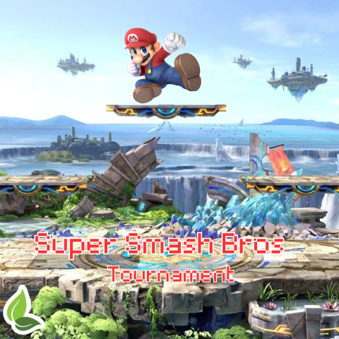 Super Smash Bros*