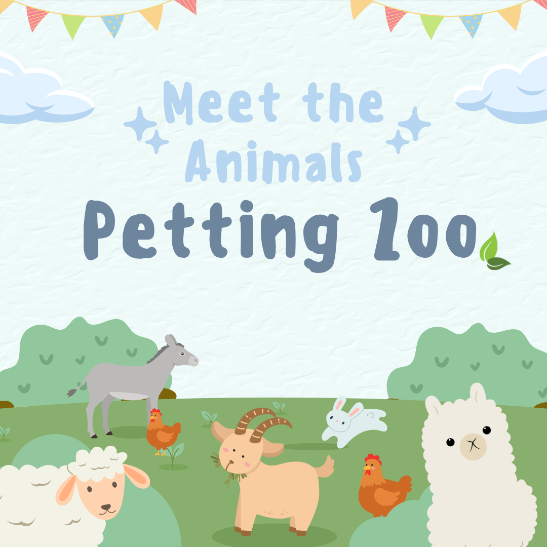 Meet the animals petting zoo 