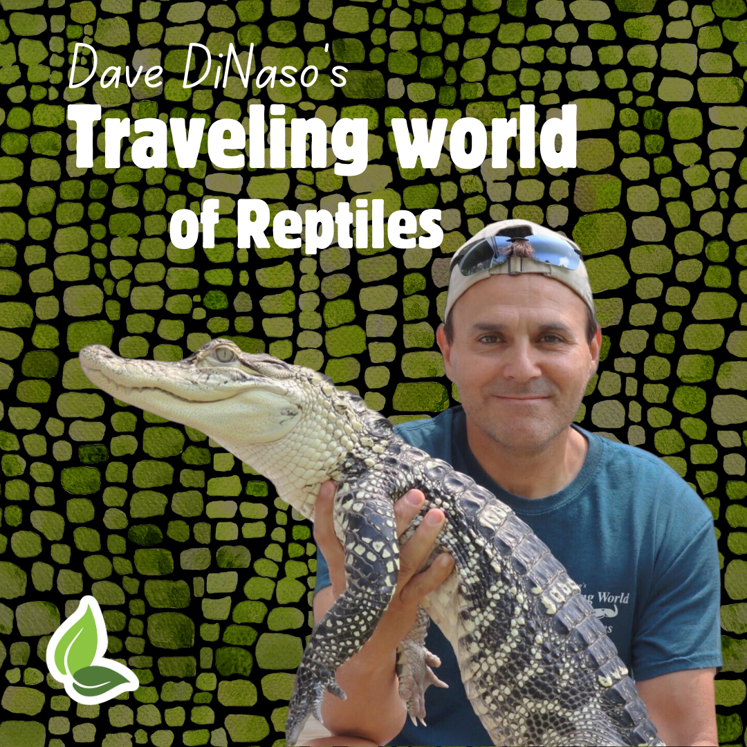 Dave DiNaso’s Traveling World of Reptiles*