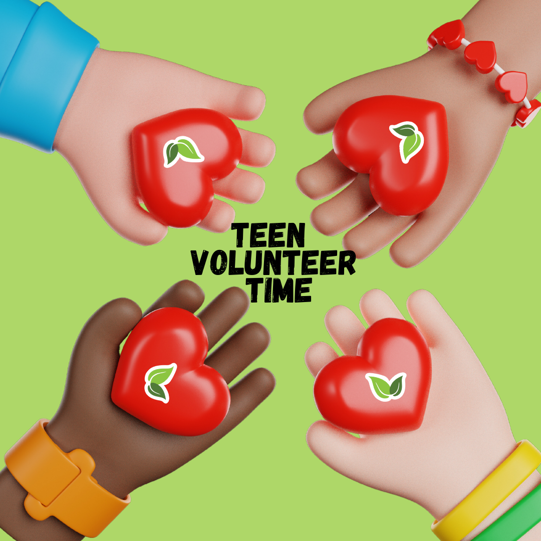 Teen Volunteer Time*