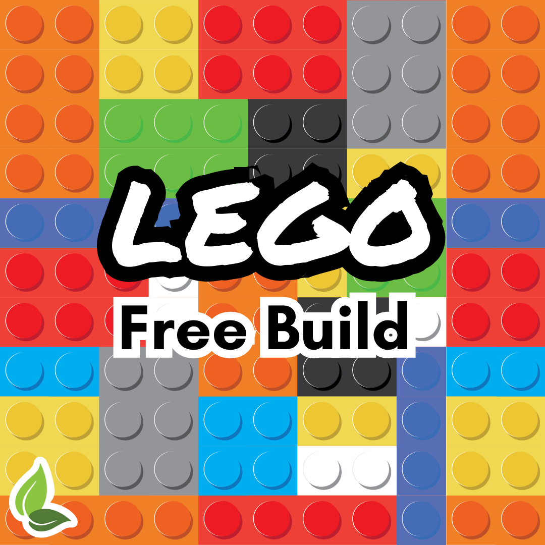 Lego Free Build* 